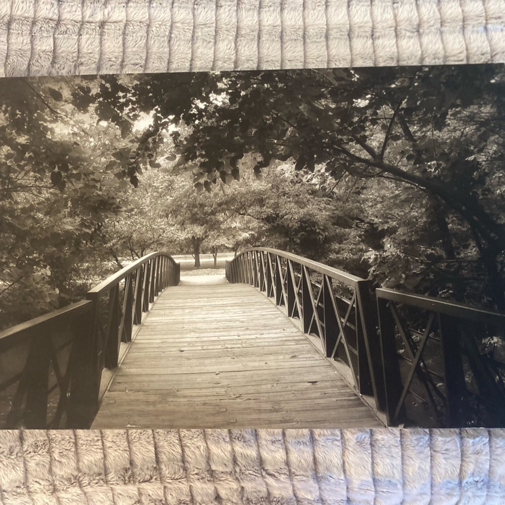 Big canvas print- landscape bridge, sepia filter